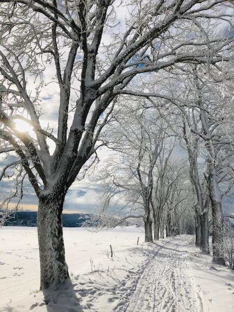 Rennsteighotel Gruener Baum Schmiedefeld am Rennsteig Bagian luar foto