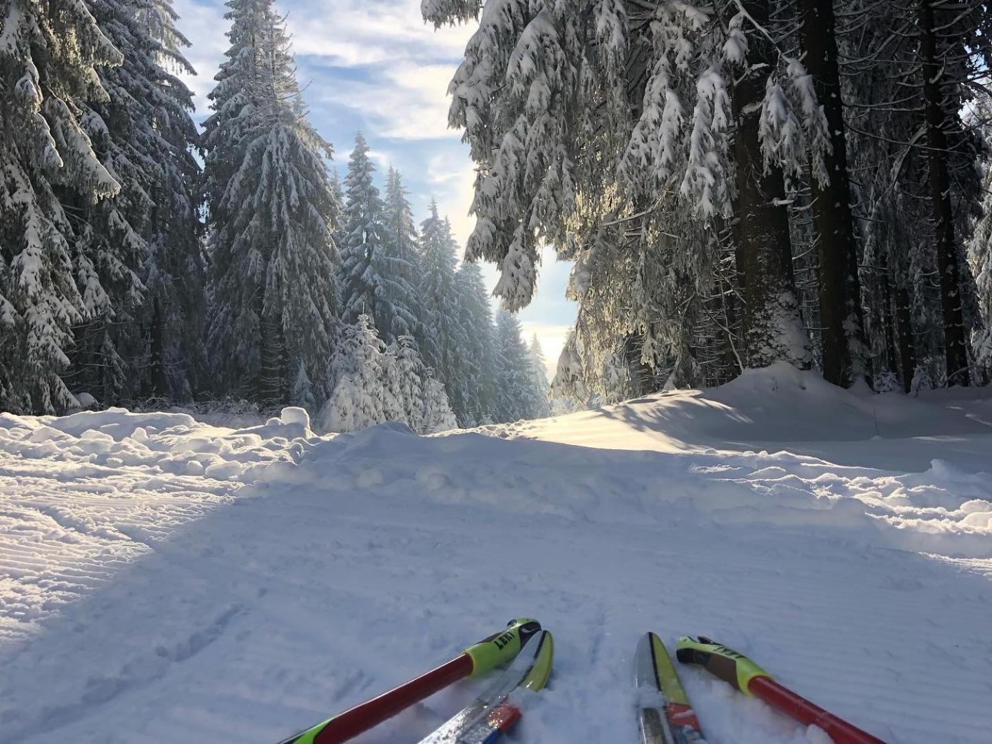 Rennsteighotel Gruener Baum Schmiedefeld am Rennsteig Bagian luar foto
